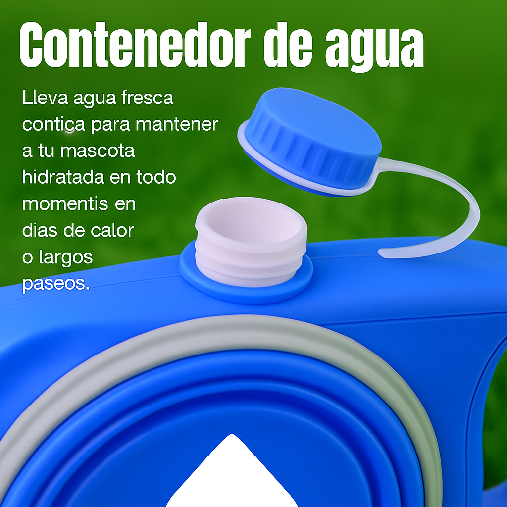 corrrea de perro