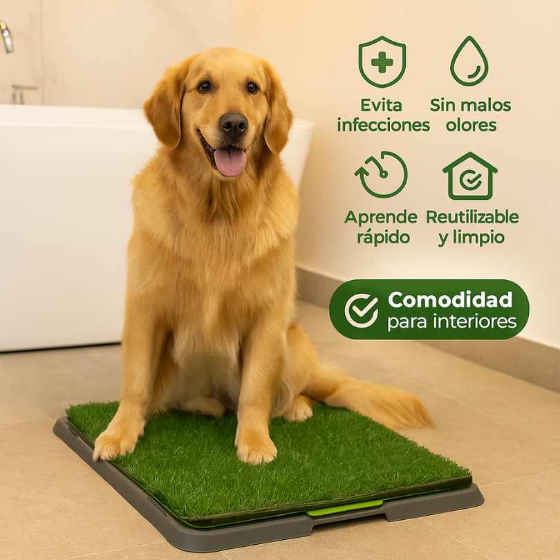 PawGrass™ – Tapete Sanitario para Perro